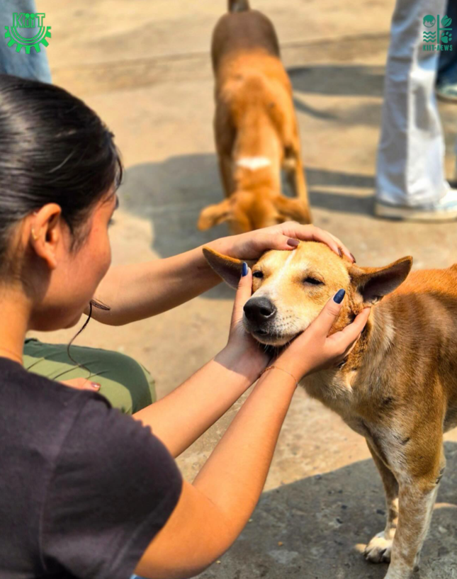 SOCIAL SERVICE